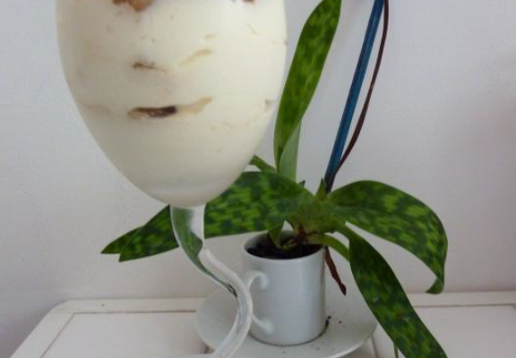 Tiramisù